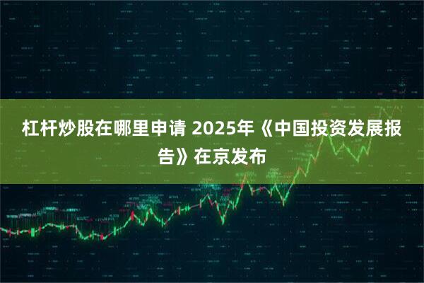 杠杆炒股在哪里申请 2025年《中国投资发展报告》在京发布