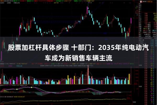 股票加杠杆具体步骤 十部门：2035年纯电动汽车成为新销售车辆主流