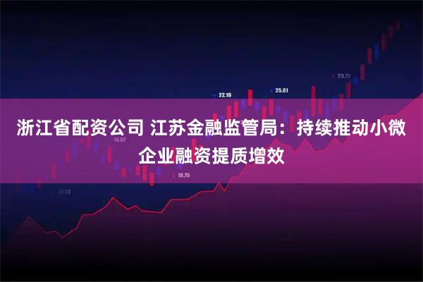浙江省配资公司 江苏金融监管局：持续推动小微企业融资提质增效