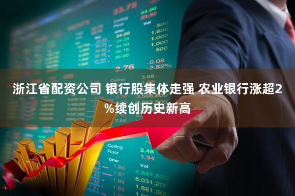 浙江省配资公司 银行股集体走强 农业银行涨超2%续创历史新高