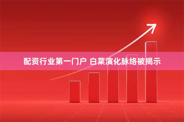 配资行业第一门户 白菜演化脉络被揭示